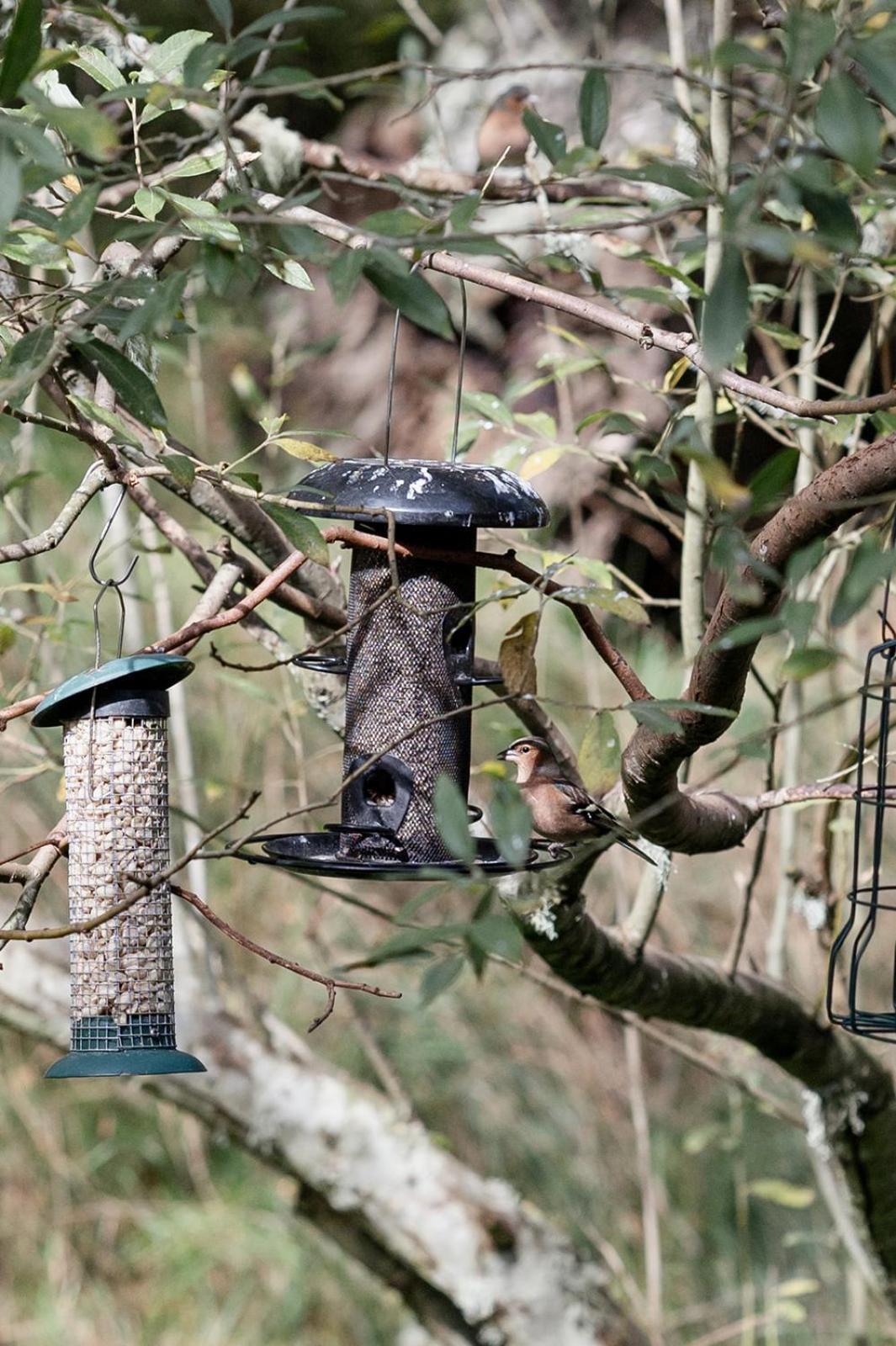 Siskin Guest Suite Kinrara Extérieur photo