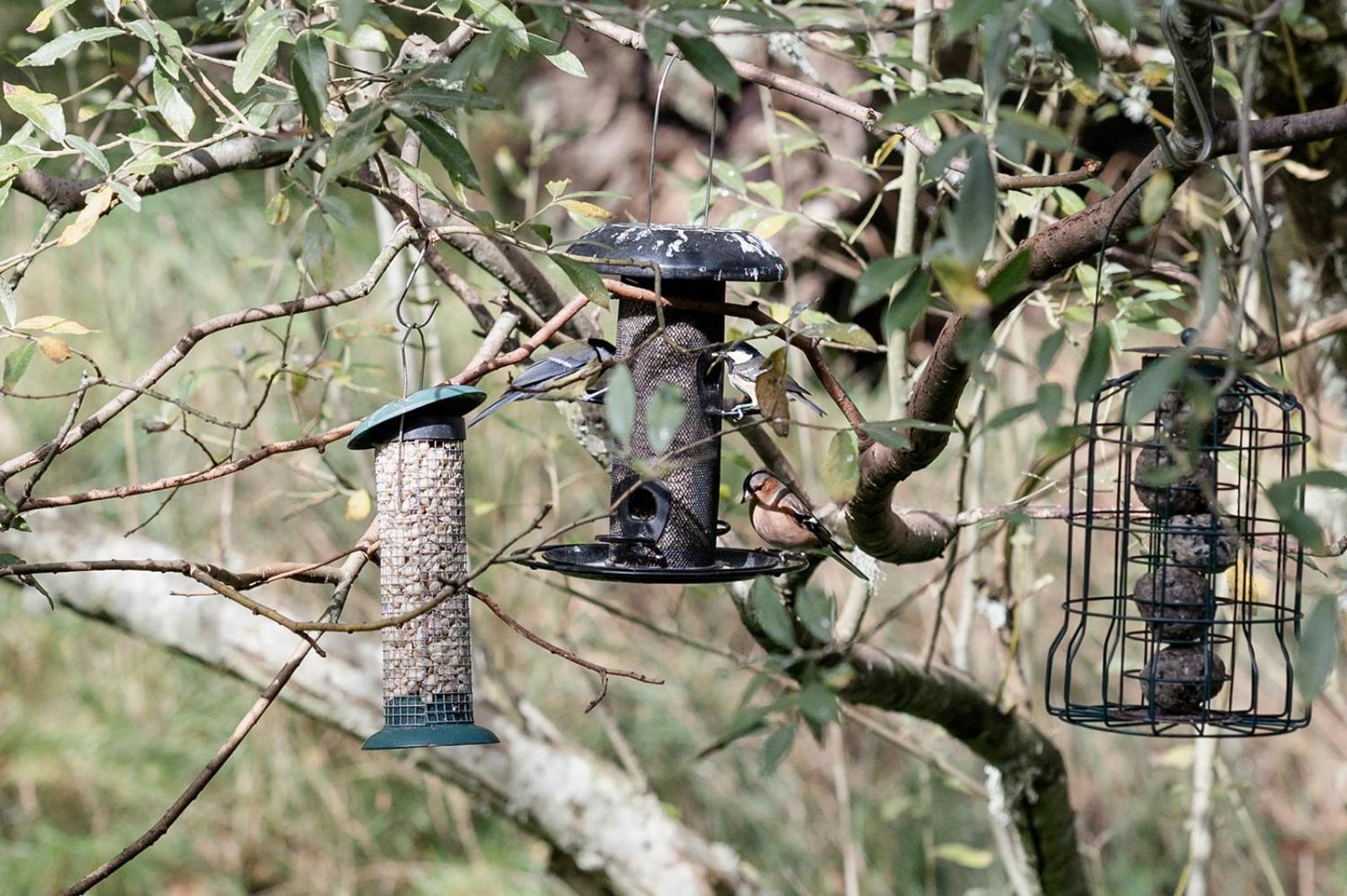 Siskin Guest Suite Kinrara Extérieur photo